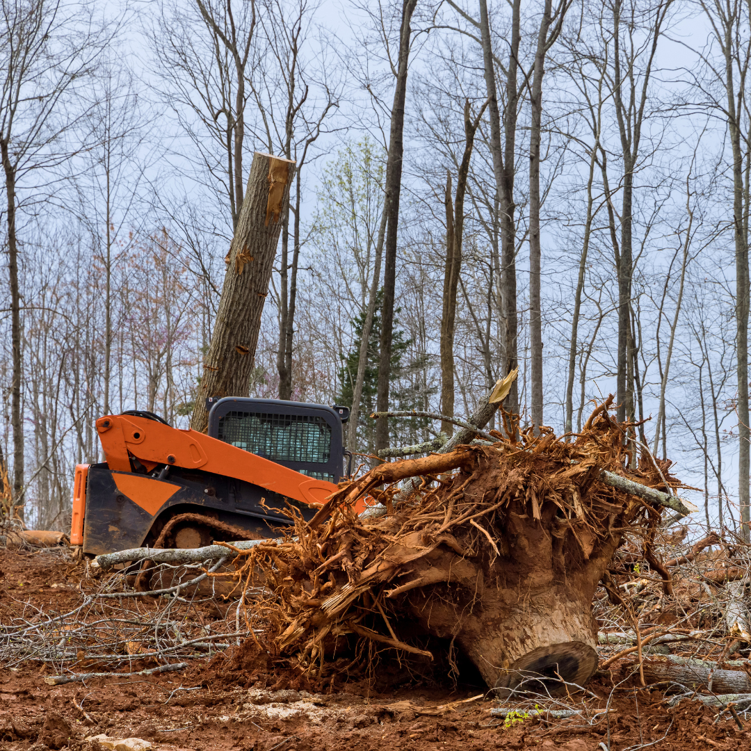 Skid steer clearing brush